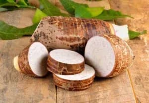 The Mystry Of The Mighty Cocoyam Thickener